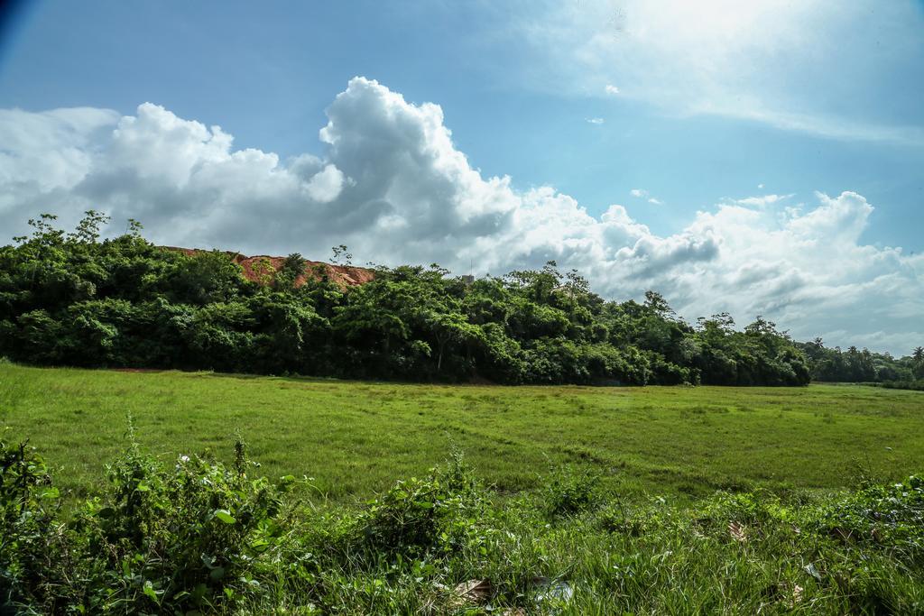 Ranjith Guest Hotel Mirissa Exterior photo